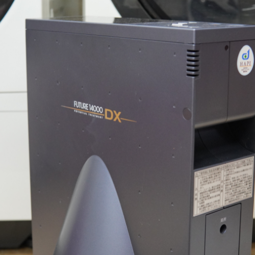 Máy điện trường Future 14000 DX